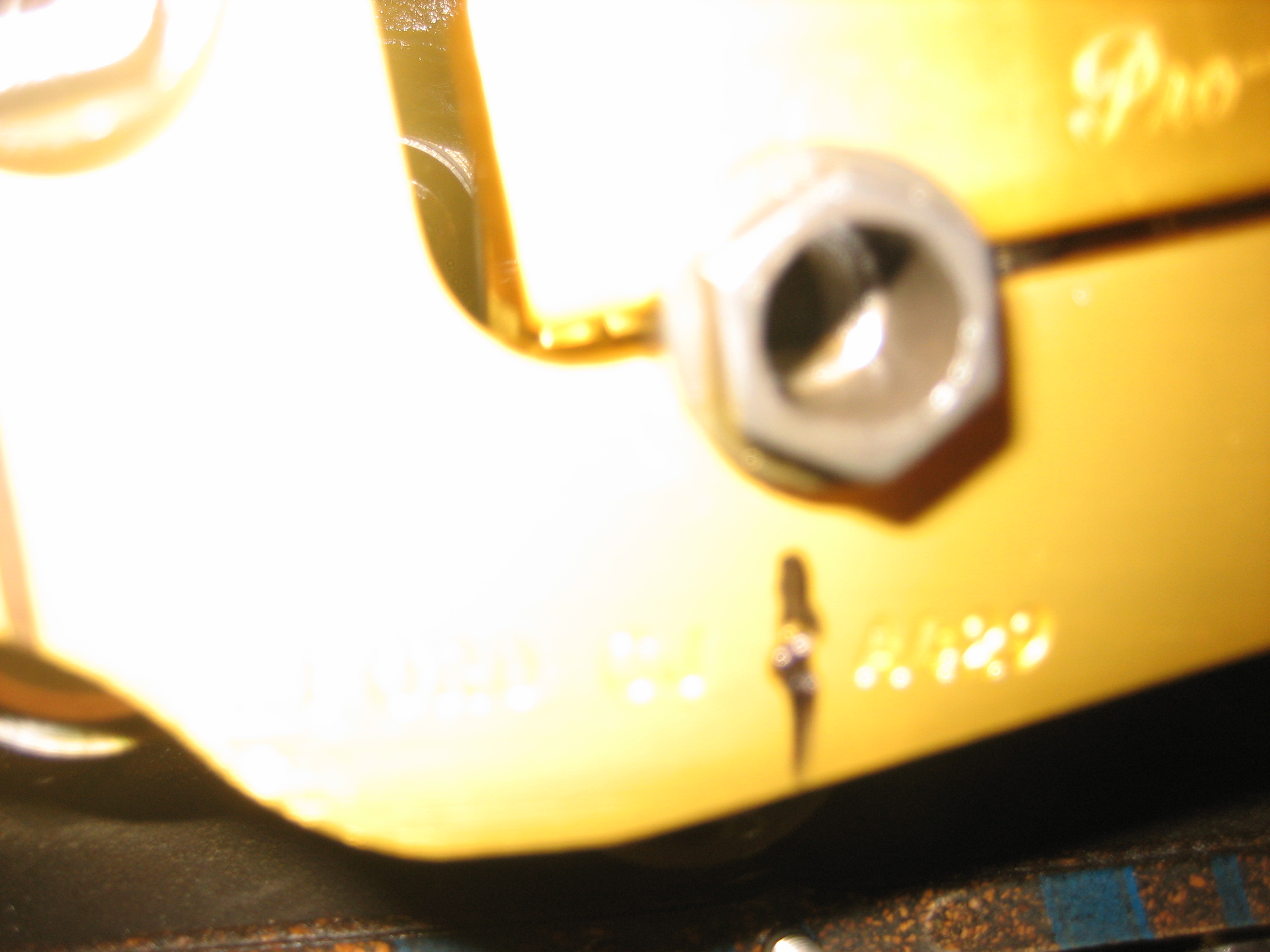 IMG0248.JPG